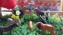 1a 400 x 225 .jpg - 